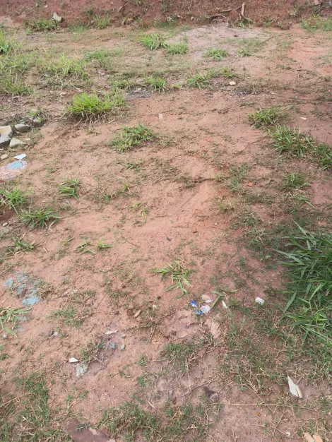Comprar Terrenos / Terreno em Suzano R$ 120.000,00 - Foto 12