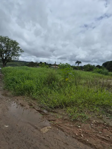 Comprar Terrenos / Terreno em Suzano R$ 480.000,00 - Foto 12