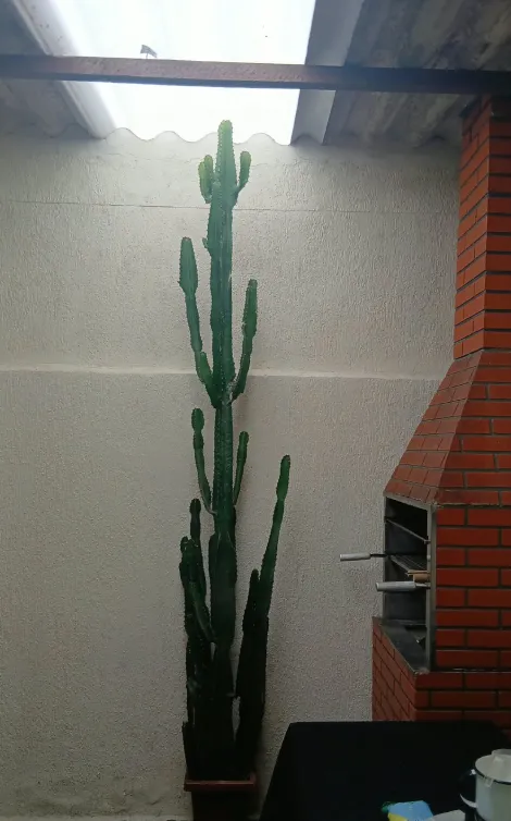 Alugar Casas / T&eacute;rrea em Suzano R$ 2.300,00 - Foto 6