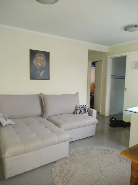 Sao Jose dos Campos Jardim Aquarius Apartamento Venda R$424.000,00 Condominio R$290,00 2 Dormitorios 1 Vaga Area construida 47.00m2