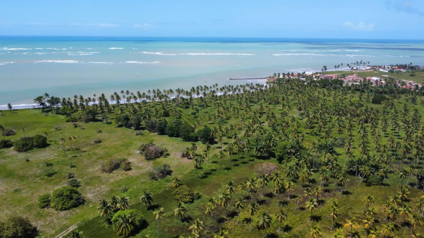 Terreno, 87 hectares - Foto 1