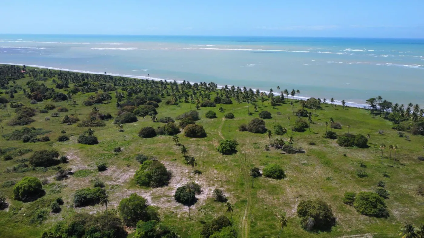 Terreno, 87 hectares - Foto 4