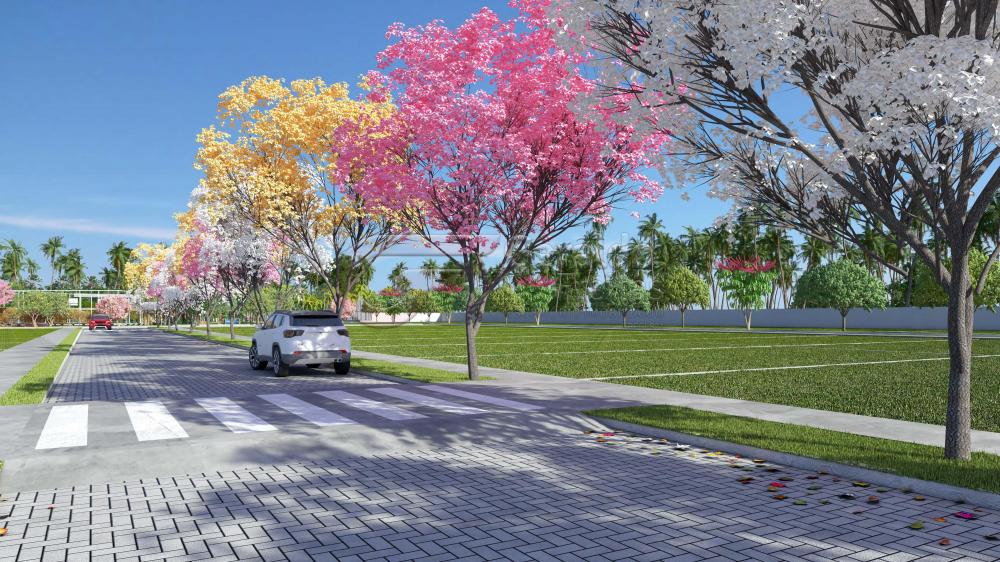 Comprar Terrenos / Condom&iacute;nio em Coruripe R$ 184.387,35 - Foto 27