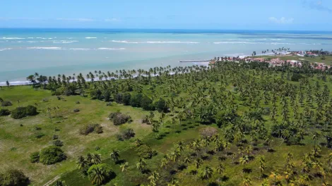 Barra de Santo Antonio Barra de Santo Antonio Terreno Venda R$210.000.000,00  Area do terreno 869668.70m2 