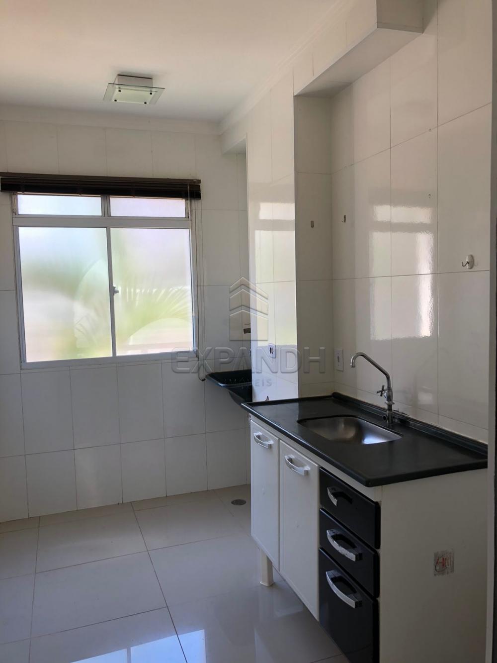 Alugar Apartamentos / Padr&atilde;o em Sert&atilde;ozinho R$ 800,00 - Foto 4