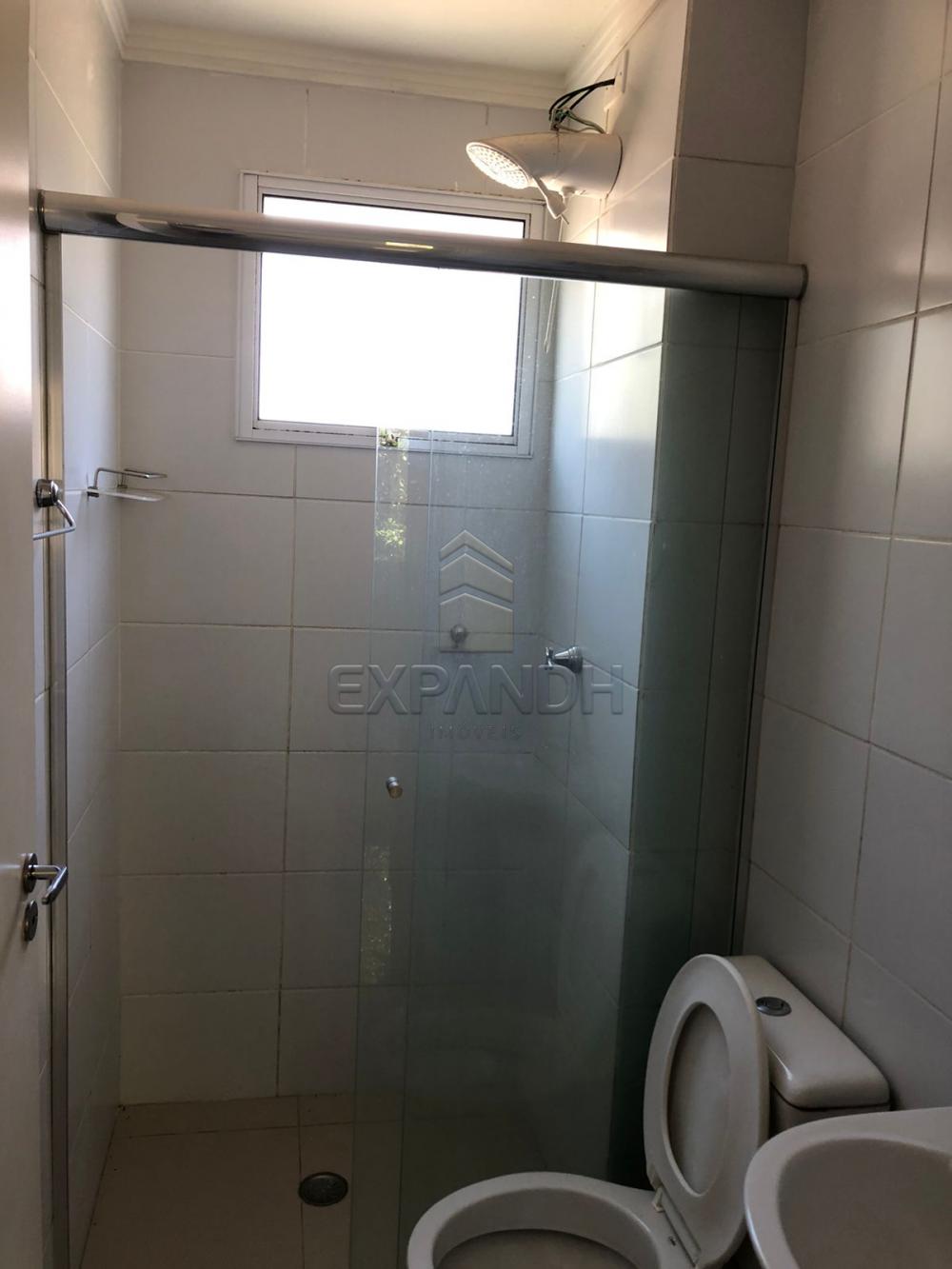 Alugar Apartamentos / Padr&atilde;o em Sert&atilde;ozinho R$ 800,00 - Foto 6