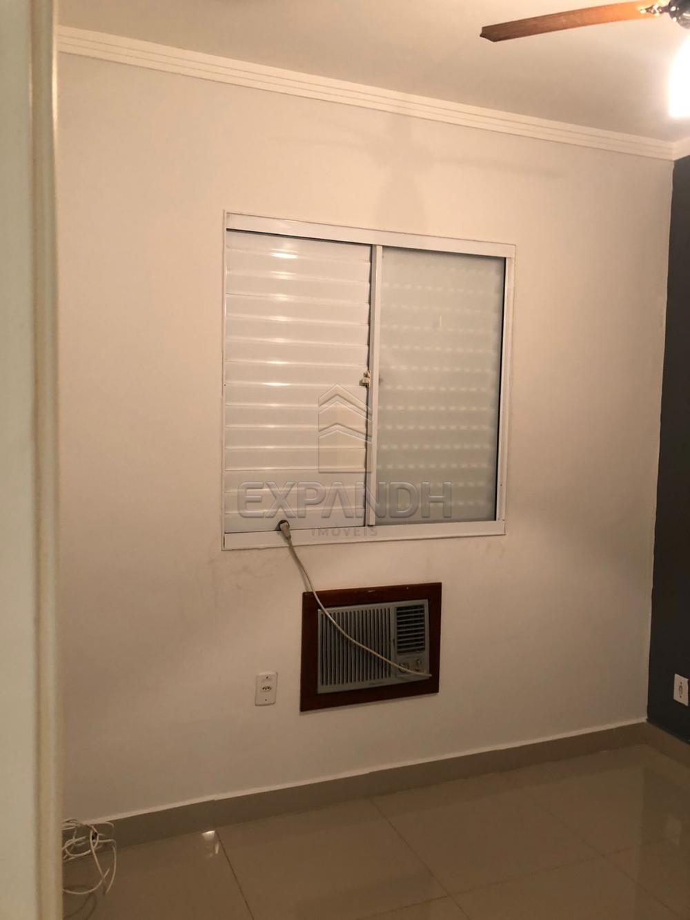 Alugar Apartamentos / Padr&atilde;o em Sert&atilde;ozinho R$ 800,00 - Foto 7