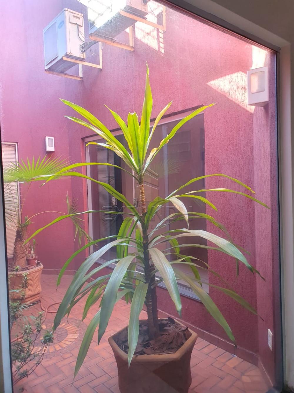 Comprar Comerciais / Ponto Comercial em Sert&atilde;ozinho R$ 1.600.000,00 - Foto 8