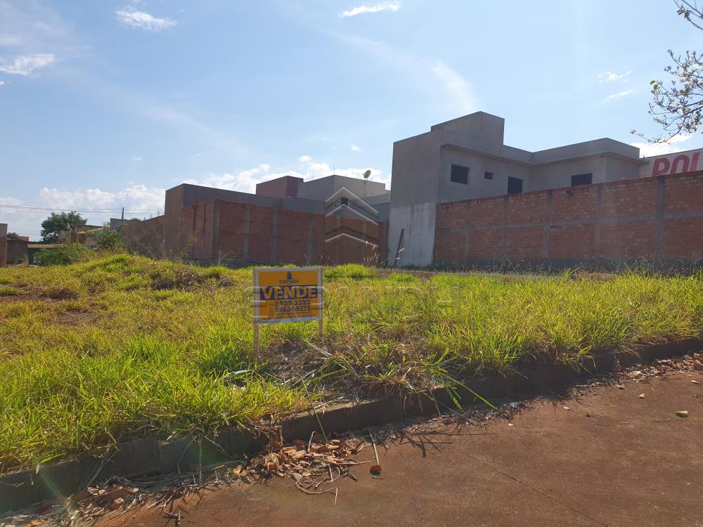 Comprar Terrenos / Padr&atilde;o em Sert&atilde;ozinho R$ 130.000,00 - Foto 1