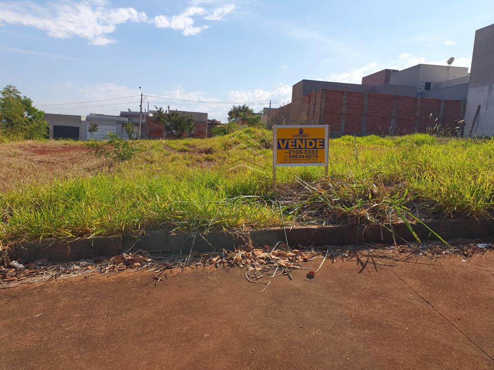 Comprar Terrenos / Padr&atilde;o em Sert&atilde;ozinho R$ 130.000,00 - Foto 2