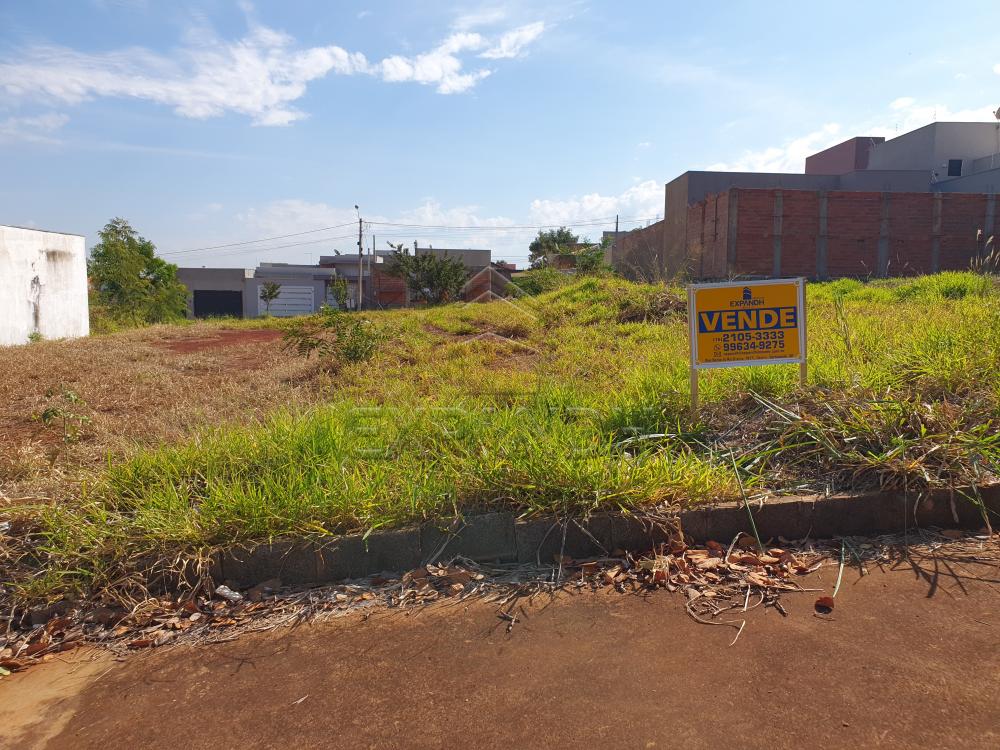 Comprar Terrenos / Padr&atilde;o em Sert&atilde;ozinho R$ 130.000,00 - Foto 3