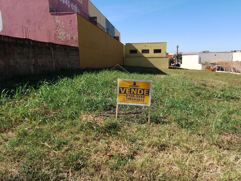 Comprar Terrenos / Padr&atilde;o em Sert&atilde;ozinho R$ 480.000,00 - Foto 1