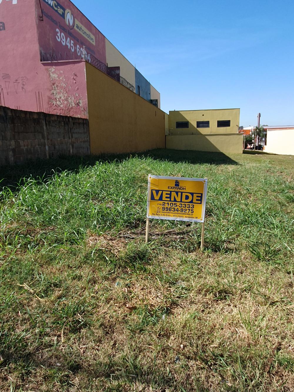 Comprar Terrenos / Padr&atilde;o em Sert&atilde;ozinho R$ 480.000,00 - Foto 2