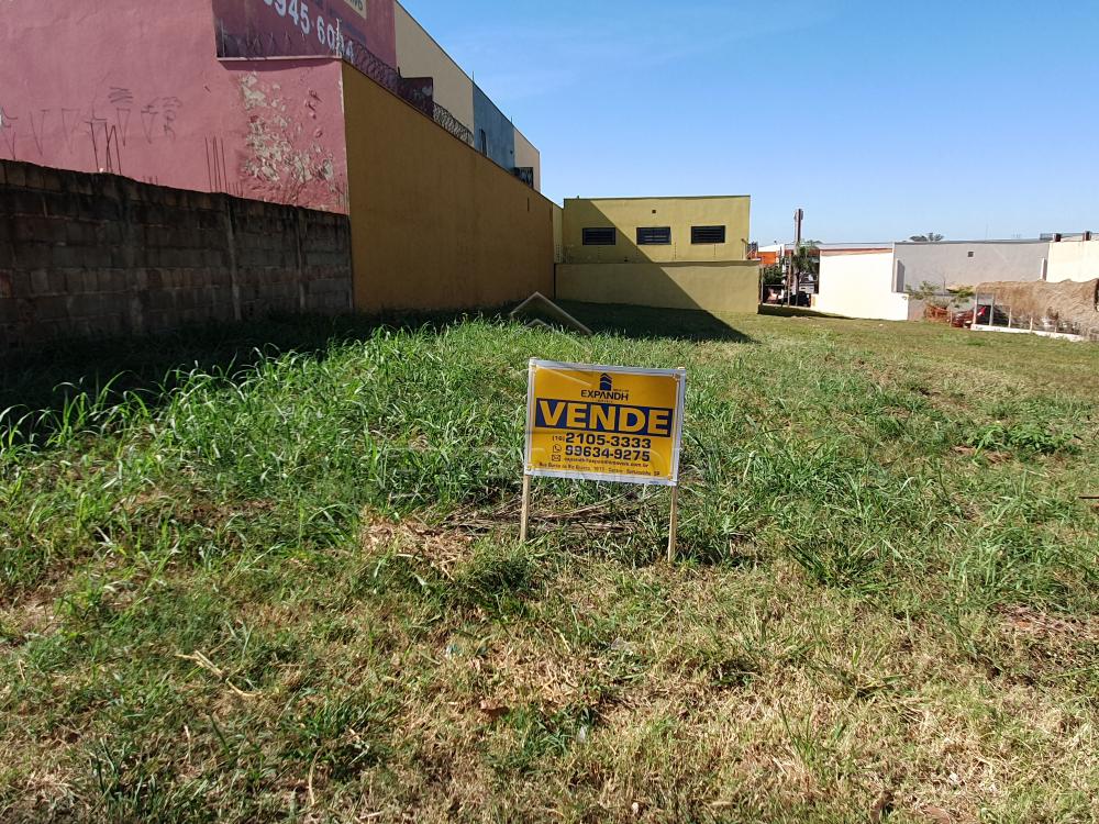 Comprar Terrenos / Padr&atilde;o em Sert&atilde;ozinho R$ 480.000,00 - Foto 3