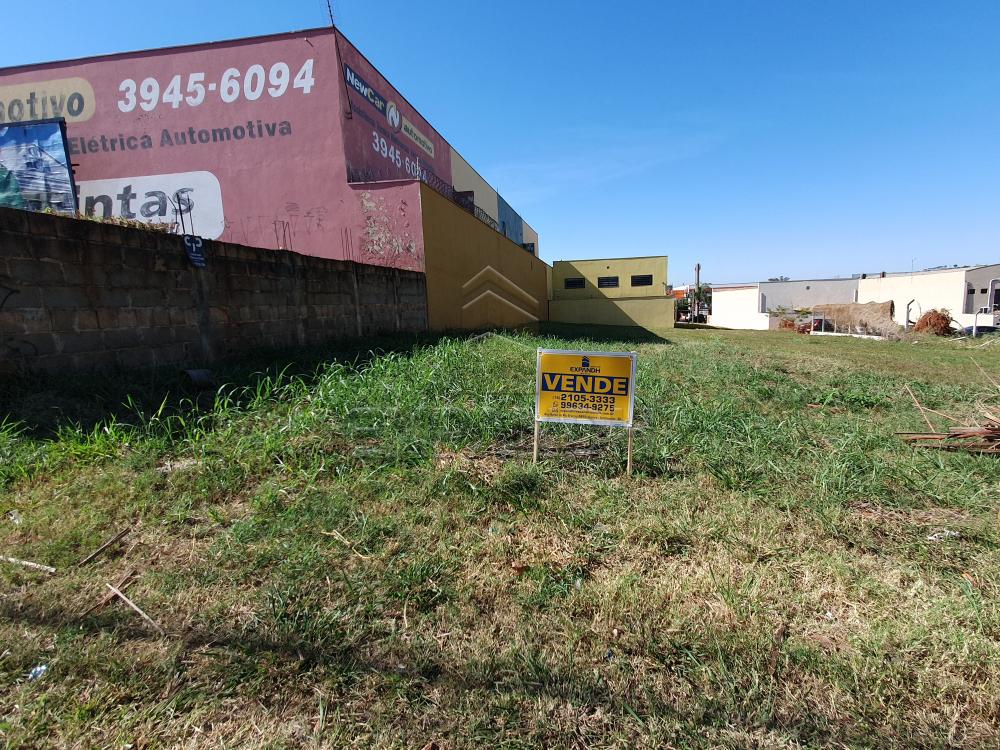Comprar Terrenos / Padr&atilde;o em Sert&atilde;ozinho R$ 480.000,00 - Foto 4
