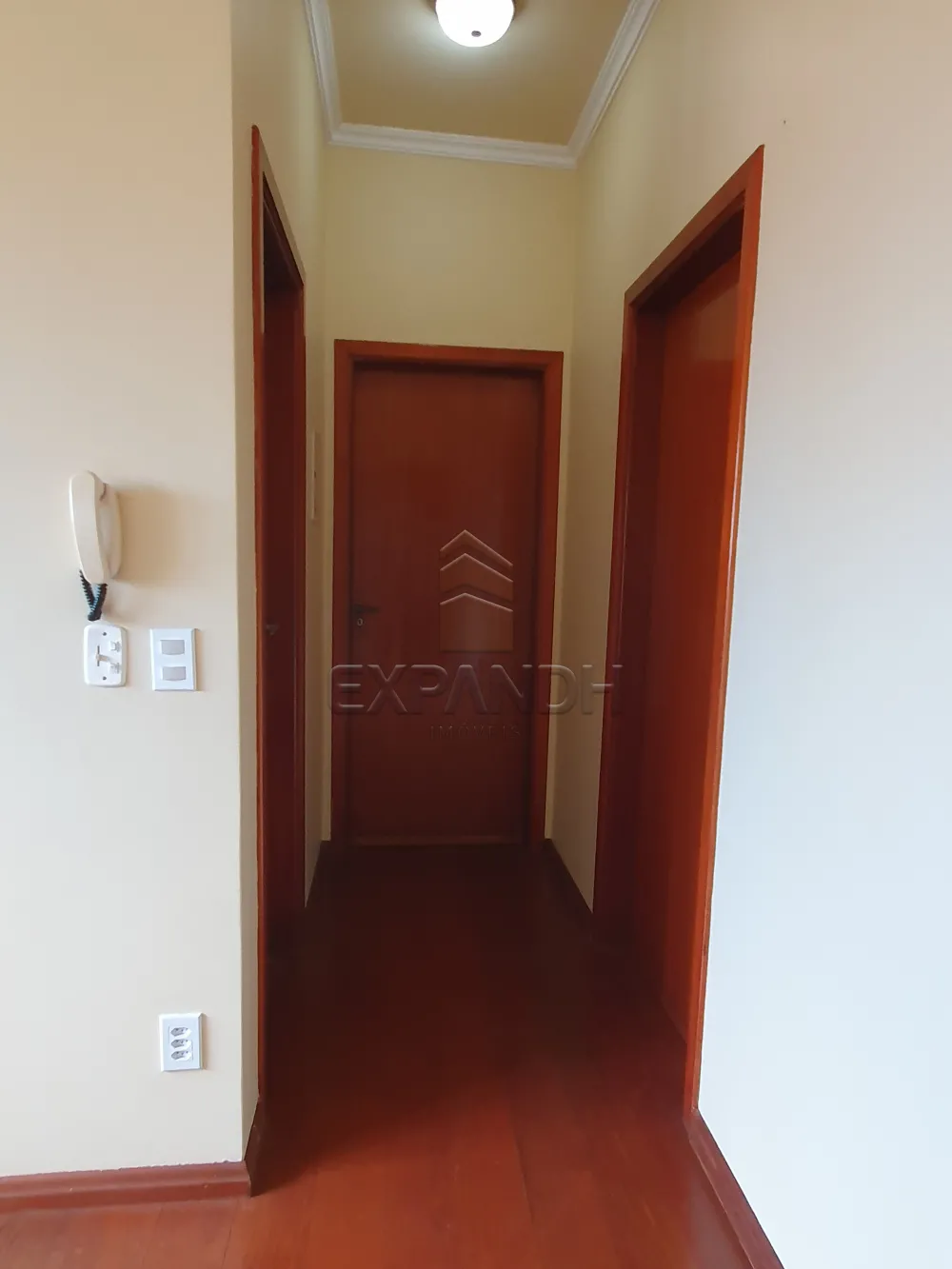 Alugar Casas / Padr&atilde;o em Sert&atilde;ozinho R$ 1.800,00 - Foto 19