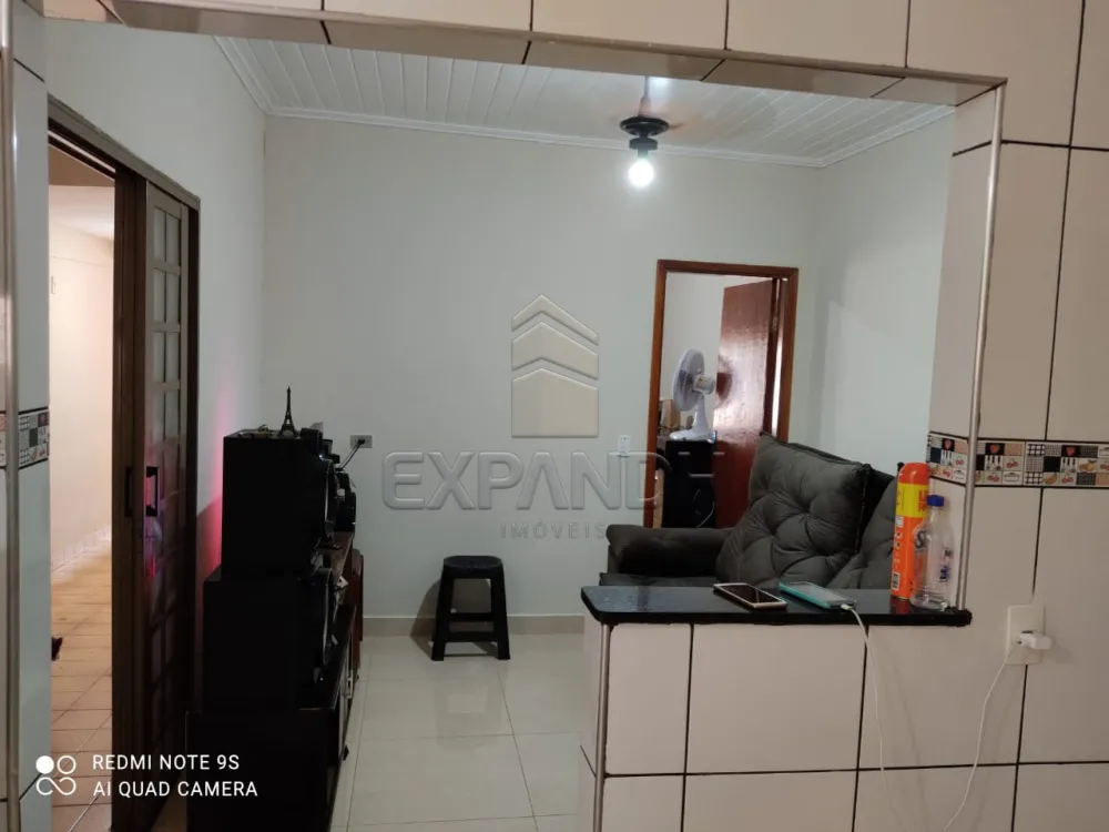 Comprar Casas / Padr&atilde;o em Sert&atilde;ozinho R$ 265.000,00 - Foto 4
