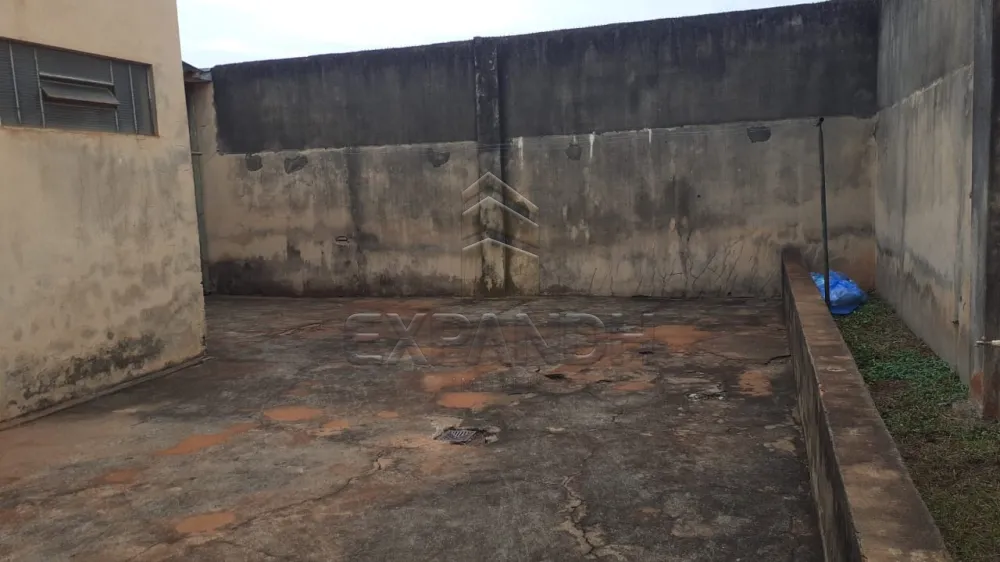 Comprar Casas / Padr&atilde;o em Sert&atilde;ozinho R$ 450.000,00 - Foto 5