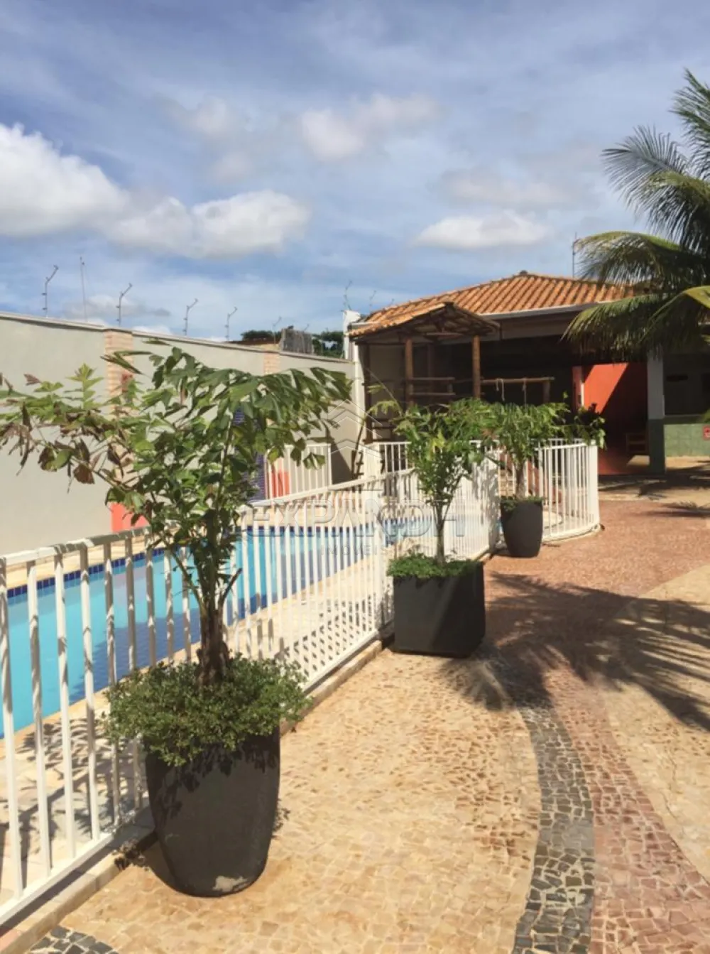Comprar Casas / Padr&atilde;o em Sert&atilde;ozinho R$ 832.000,00 - Foto 15