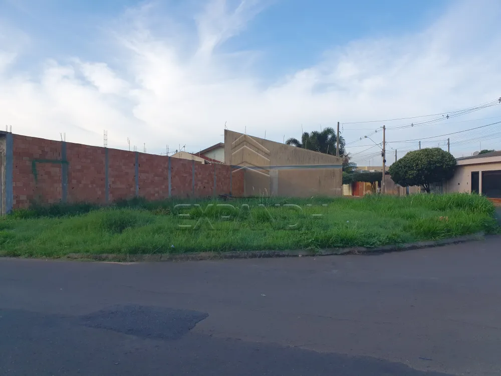 Comprar Terrenos / Padr&atilde;o em Sert&atilde;ozinho R$ 275.000,00 - Foto 1
