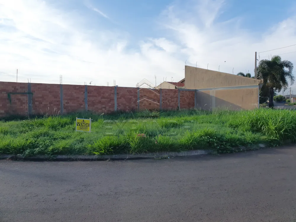 Comprar Terrenos / Padr&atilde;o em Sert&atilde;ozinho R$ 275.000,00 - Foto 6