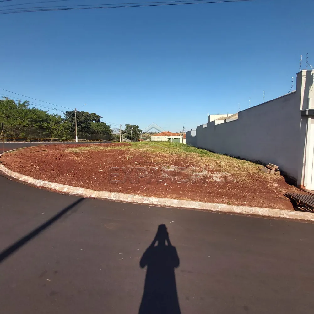 Comprar Terrenos / Padr&atilde;o em Sert&atilde;ozinho R$ 210.000,00 - Foto 1