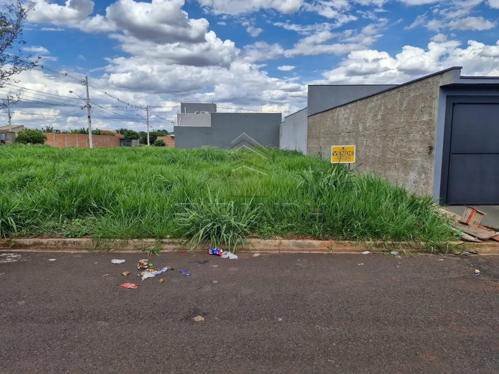 Comprar Terrenos / Padr&atilde;o em Sert&atilde;ozinho R$ 130.000,00 - Foto 1