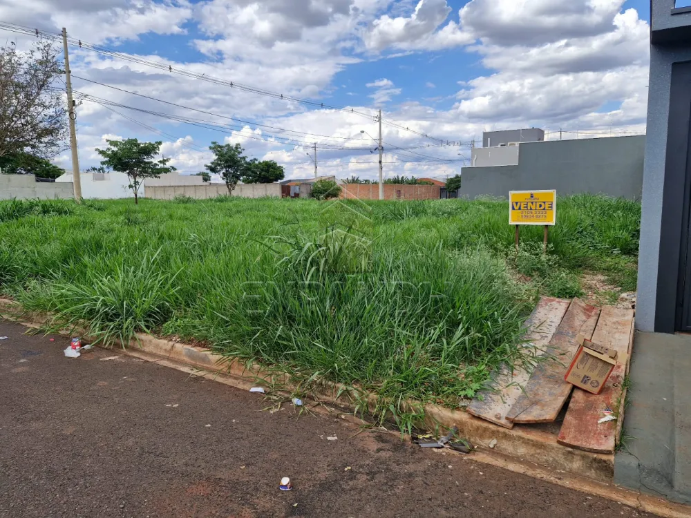 Comprar Terrenos / Padr&atilde;o em Sert&atilde;ozinho R$ 130.000,00 - Foto 2