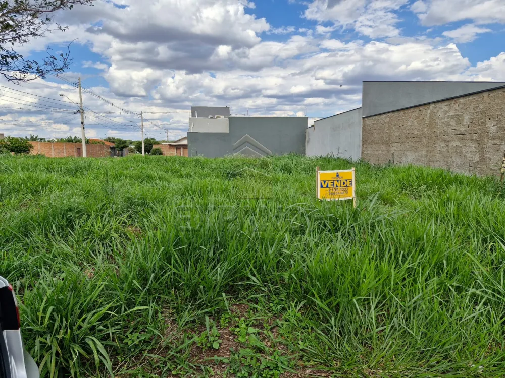 Comprar Terrenos / Padr&atilde;o em Sert&atilde;ozinho R$ 130.000,00 - Foto 3
