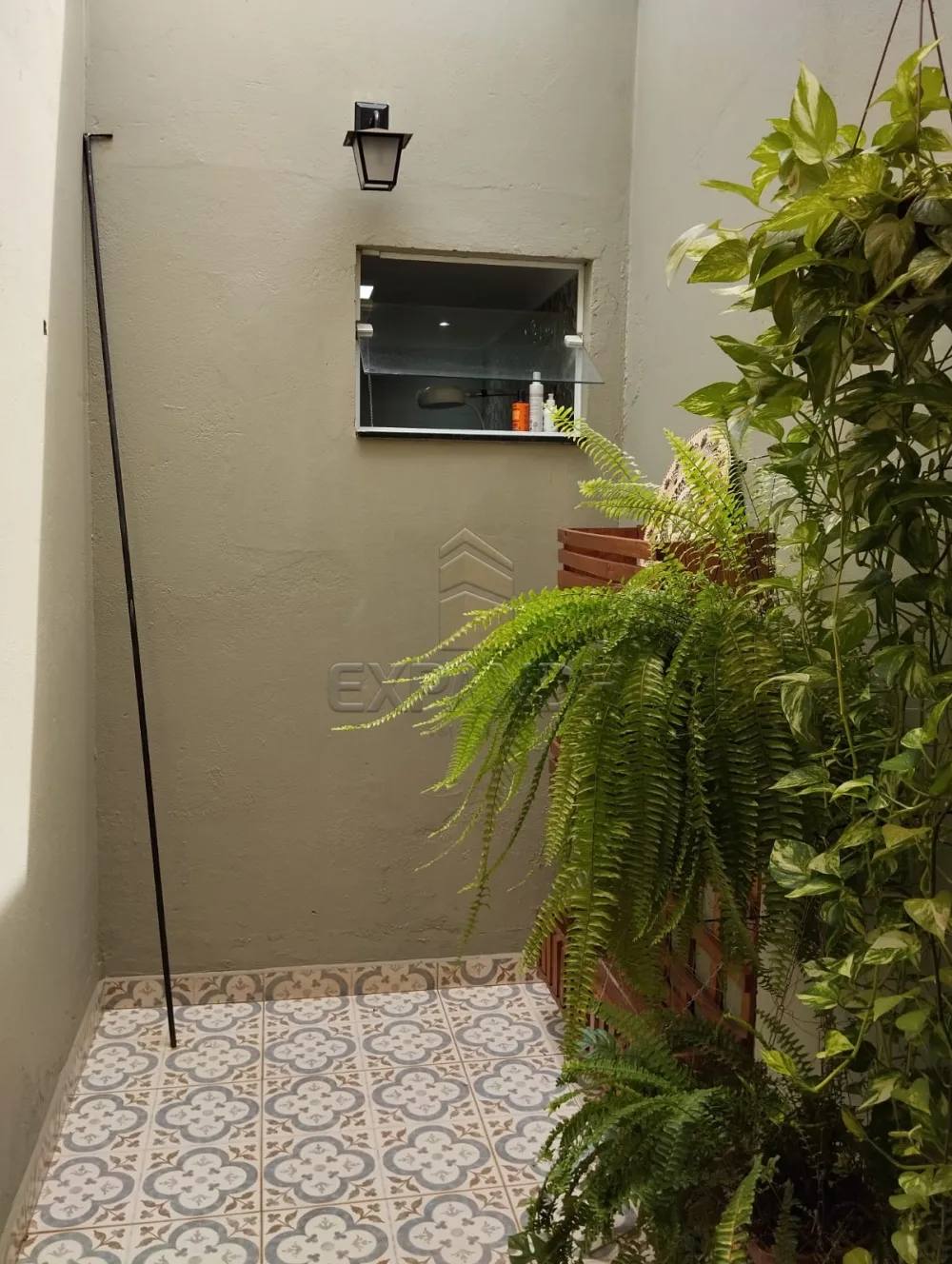 Comprar Casas / Padr&atilde;o em Sert&atilde;ozinho R$ 400.000,00 - Foto 22