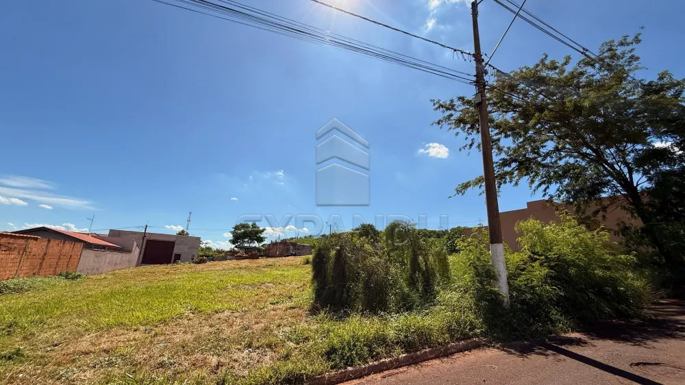 Comprar Terrenos / Padr&atilde;o em Sert&atilde;ozinho R$ 300.000,00 - Foto 4