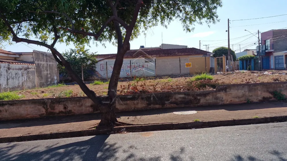 Comprar Terrenos / Padr&atilde;o em Sert&atilde;ozinho R$ 650.000,00 - Foto 1