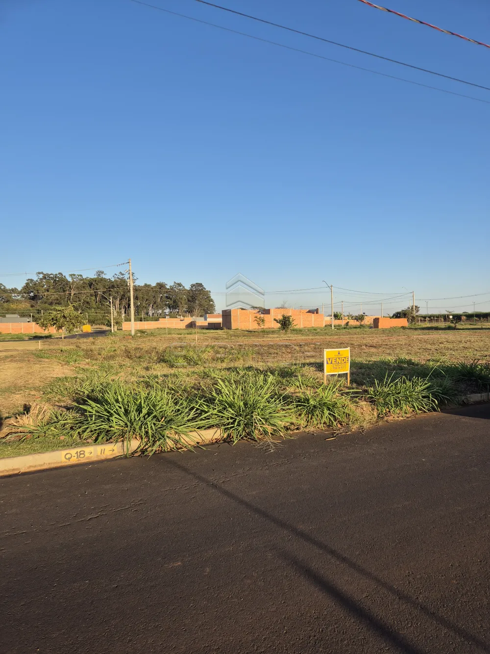 Comprar Terrenos / Padr&atilde;o em Sert&atilde;ozinho R$ 61.000,00 - Foto 1