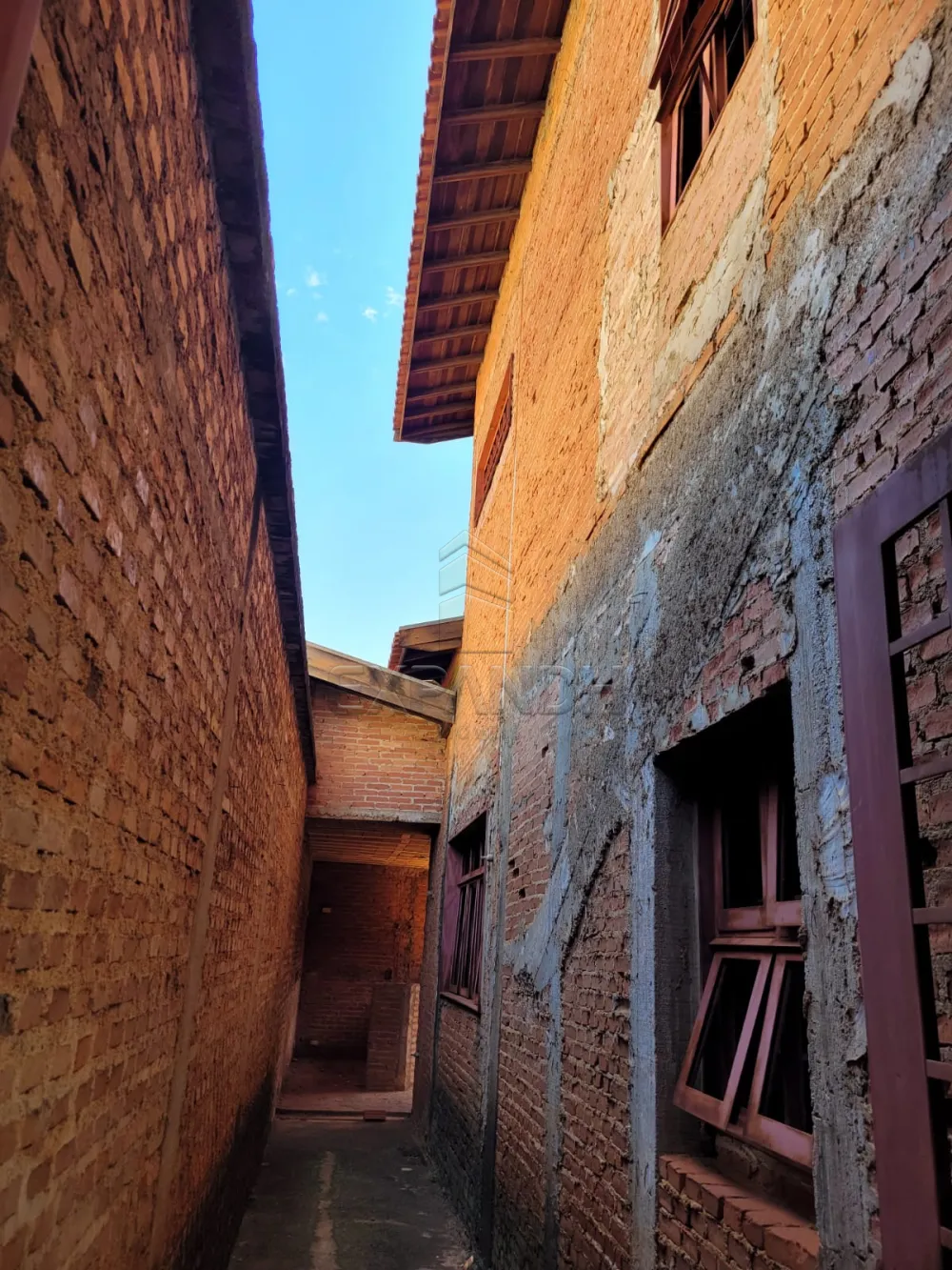 Comprar Casas / Padr&atilde;o em Sert&atilde;ozinho R$ 1.100.000,00 - Foto 3