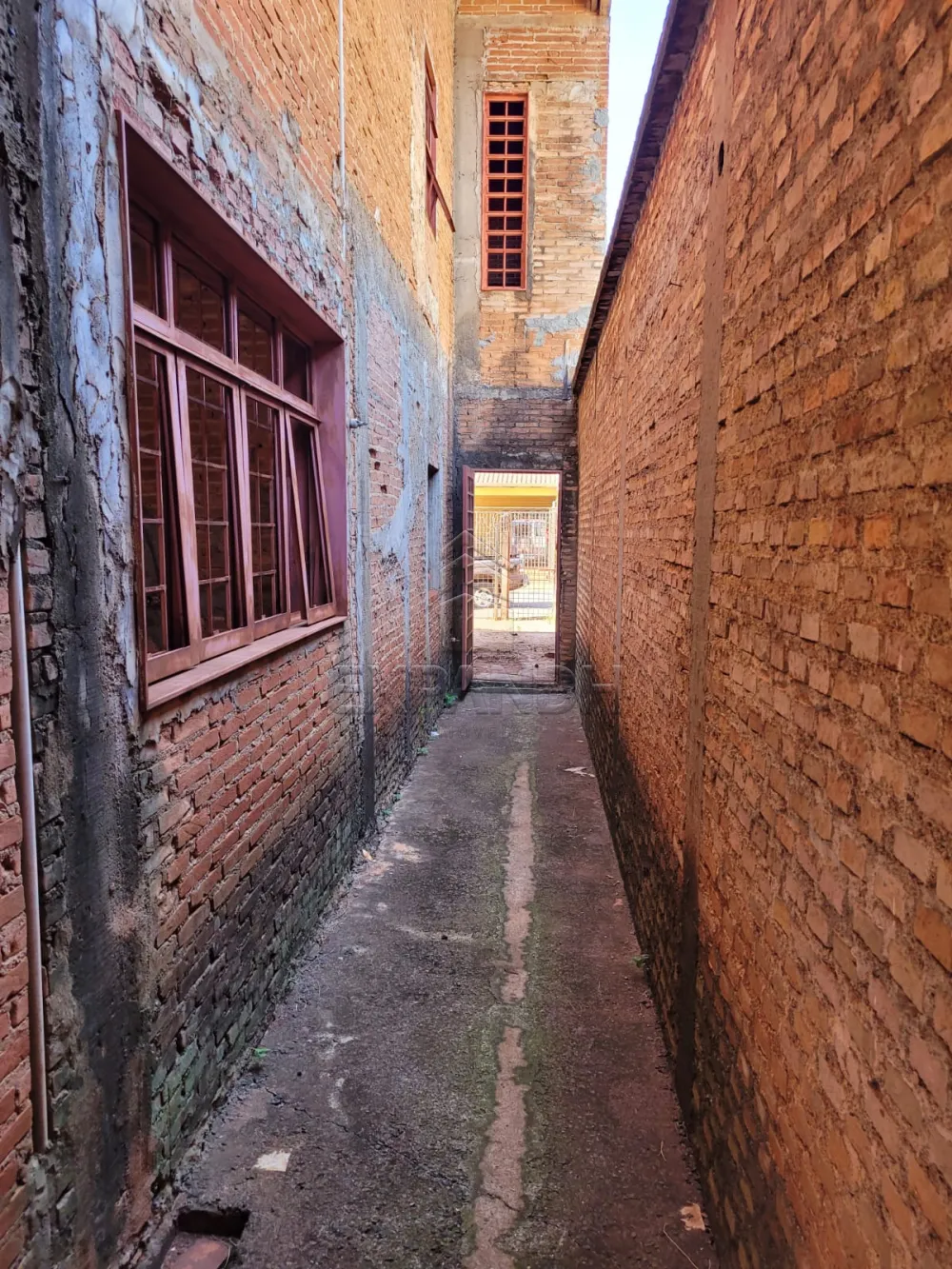 Comprar Casas / Padr&atilde;o em Sert&atilde;ozinho R$ 1.100.000,00 - Foto 5