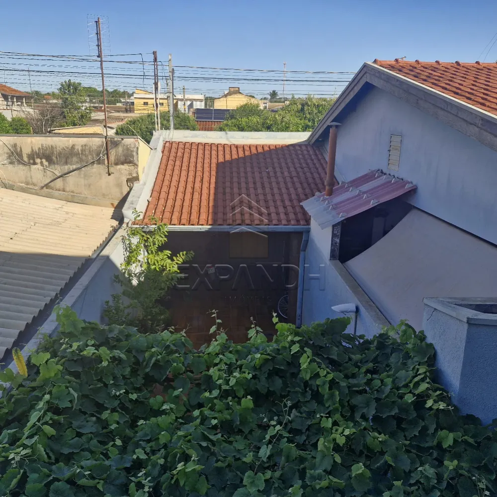 Comprar Casas / Padr&atilde;o em Sert&atilde;ozinho R$ 400.000,00 - Foto 23