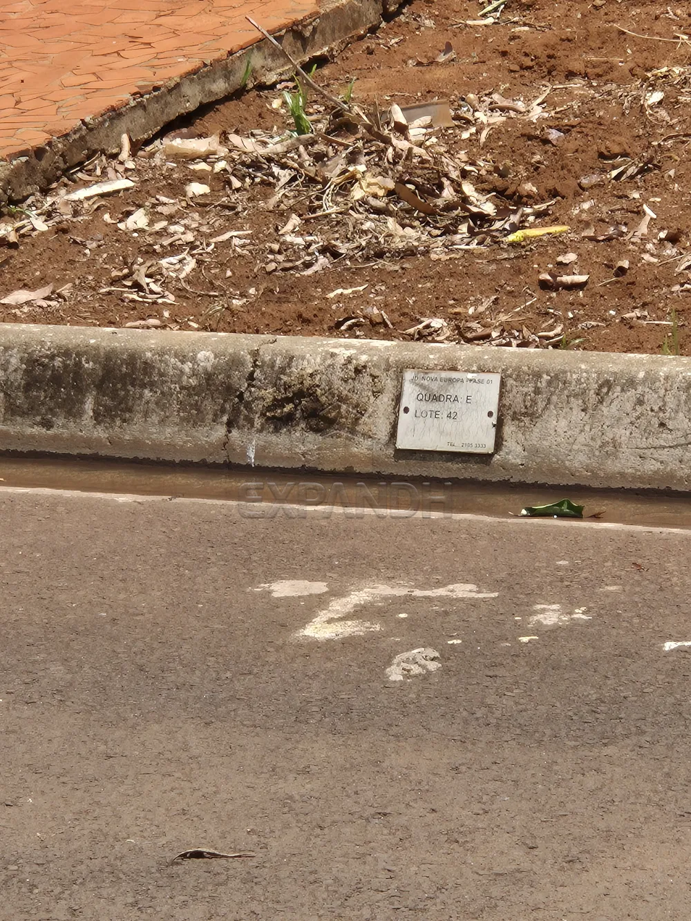 Comprar Terrenos / Padr&atilde;o em Sert&atilde;ozinho R$ 120.000,00 - Foto 3