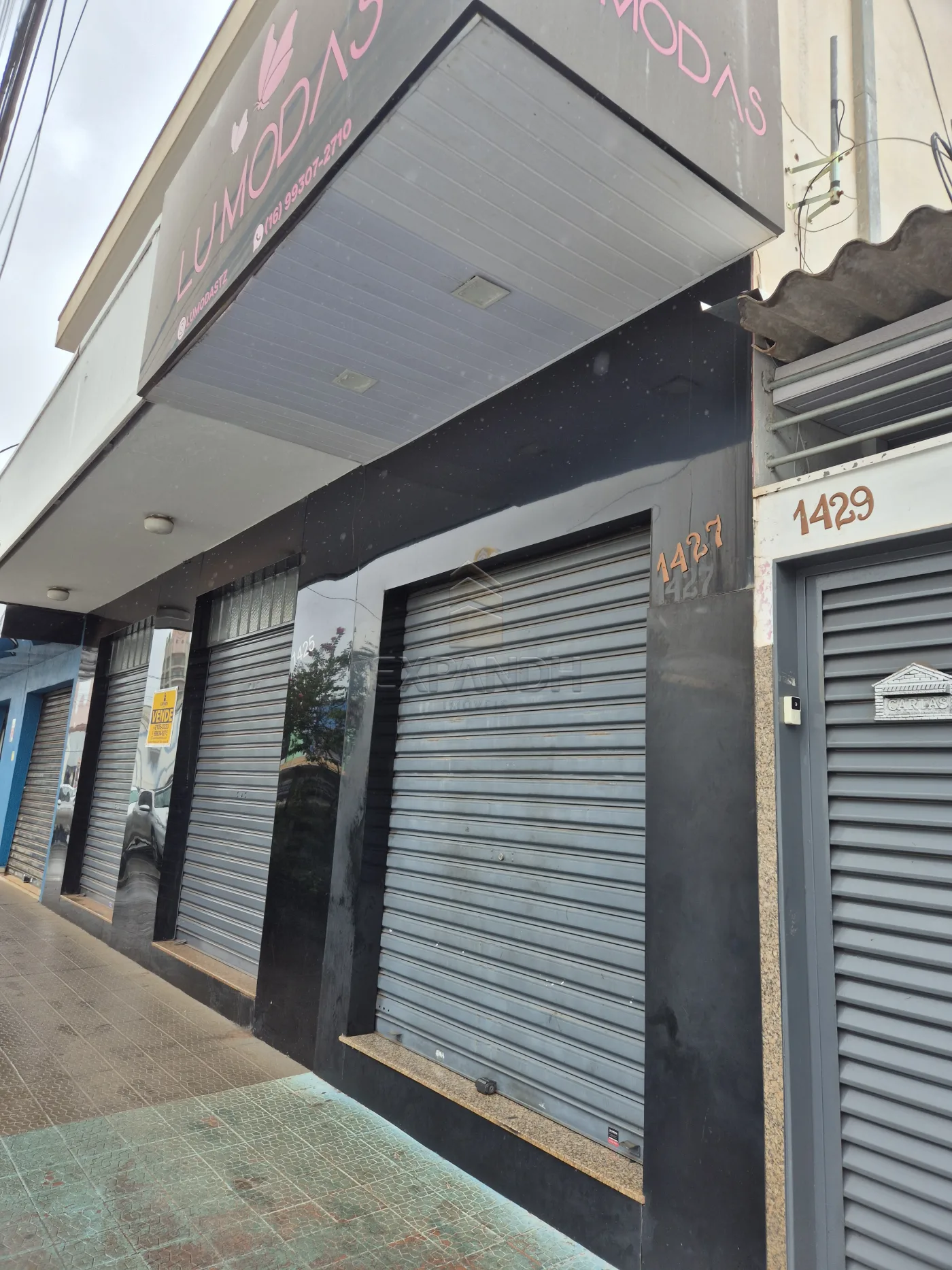 Comprar Casas / Padr&atilde;o em Sert&atilde;ozinho R$ 1.250.000,00 - Foto 3