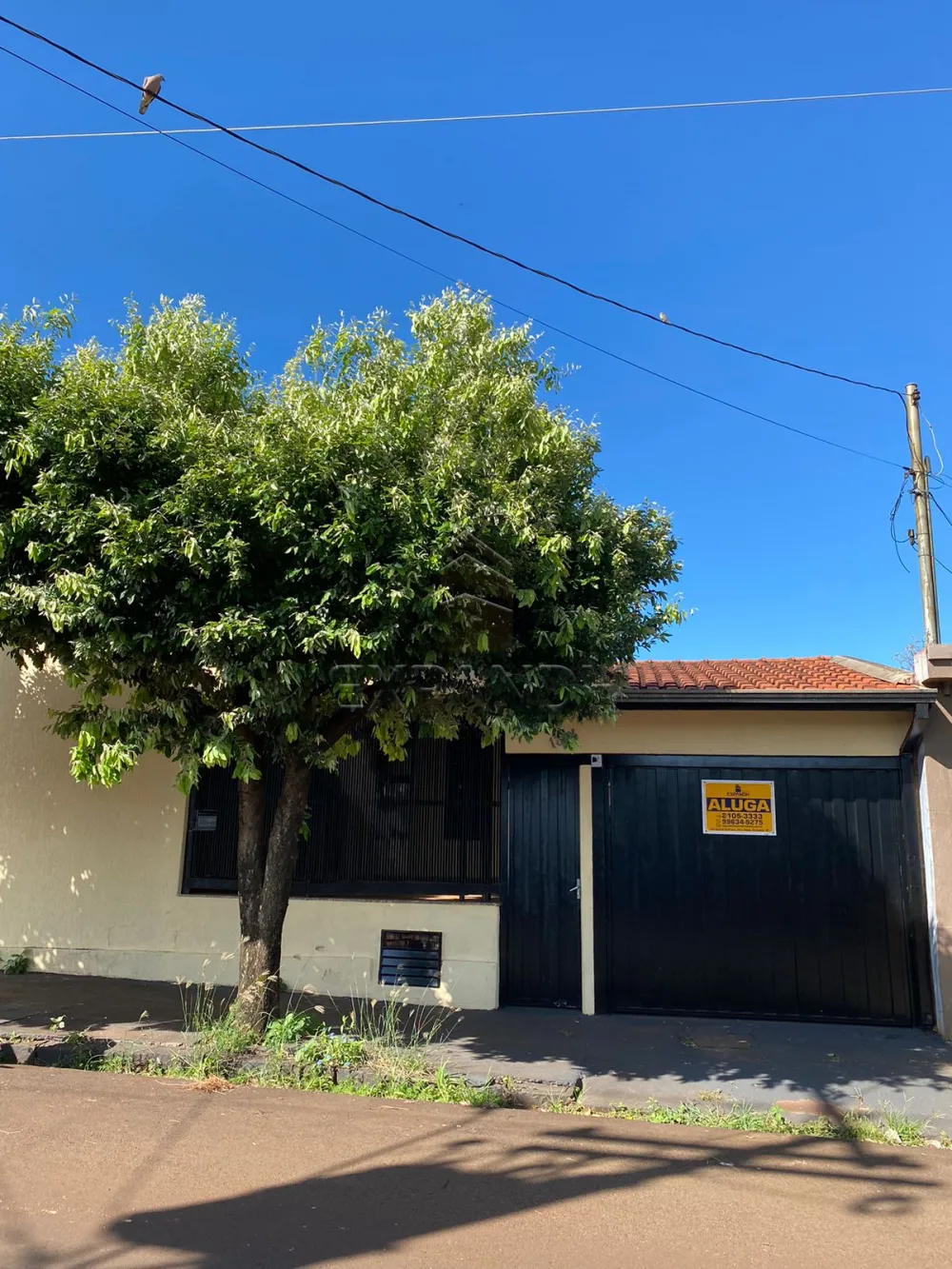 Alugar Casas / Padr&atilde;o em Sert&atilde;ozinho R$ 1.400,00 - Foto 1