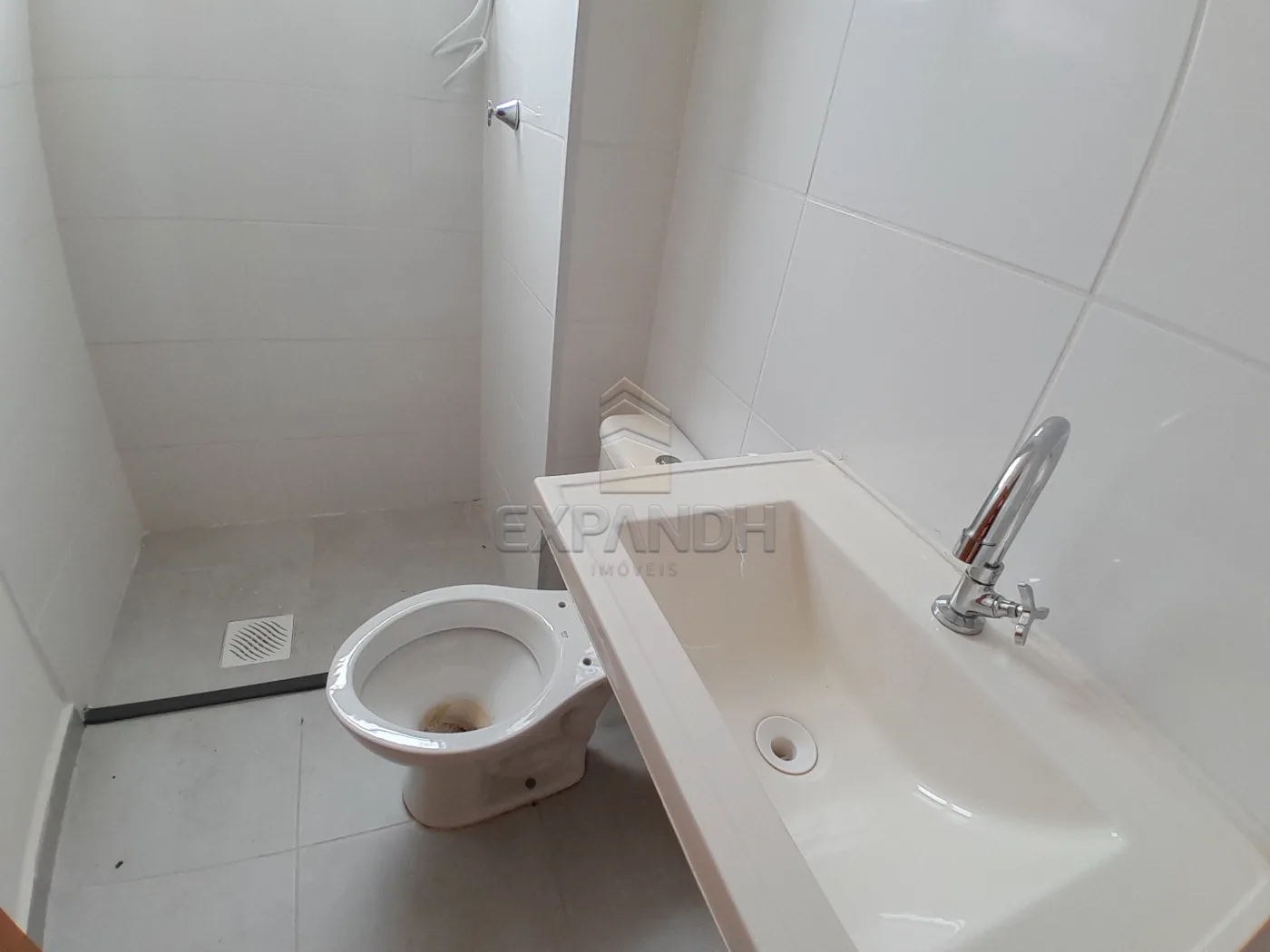 Alugar Apartamentos / Padr&atilde;o em Sert&atilde;ozinho R$ 750,00 - Foto 13