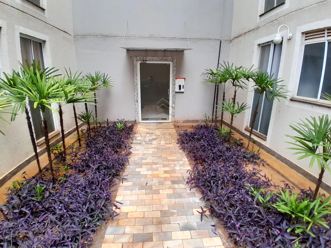 Alugar Apartamentos / Padr&atilde;o em Sert&atilde;ozinho R$ 750,00 - Foto 16