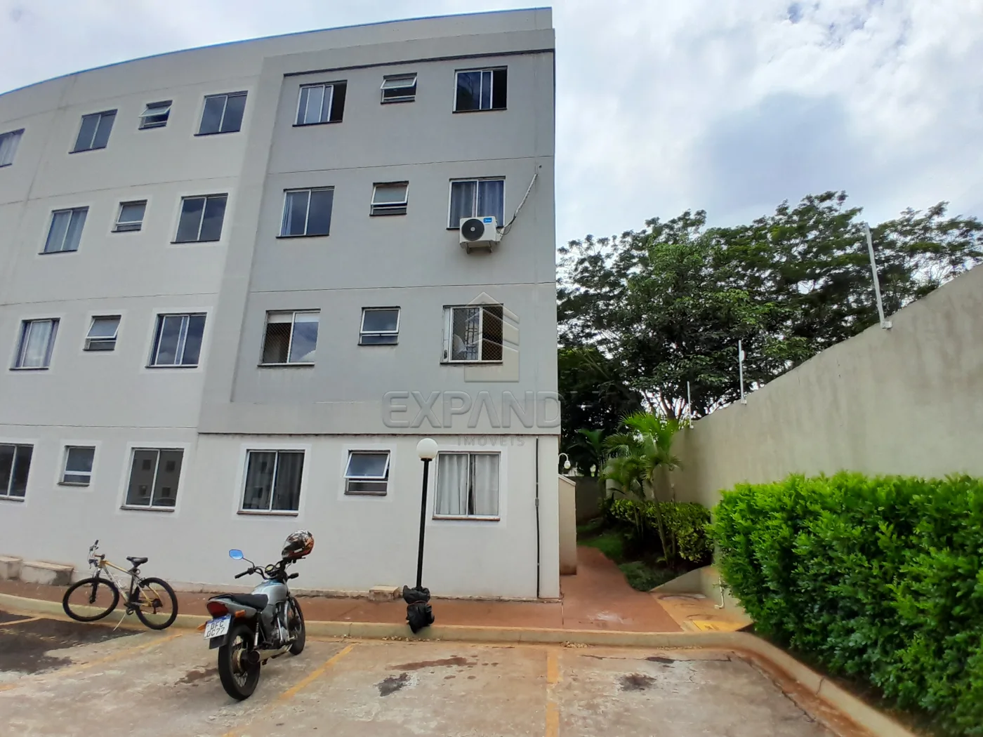 Alugar Apartamentos / Padr&atilde;o em Sert&atilde;ozinho R$ 750,00 - Foto 17