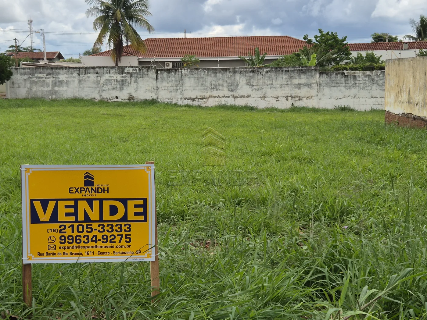 Comprar Terrenos / Padr&atilde;o em Sert&atilde;ozinho R$ 269.000,00 - Foto 2