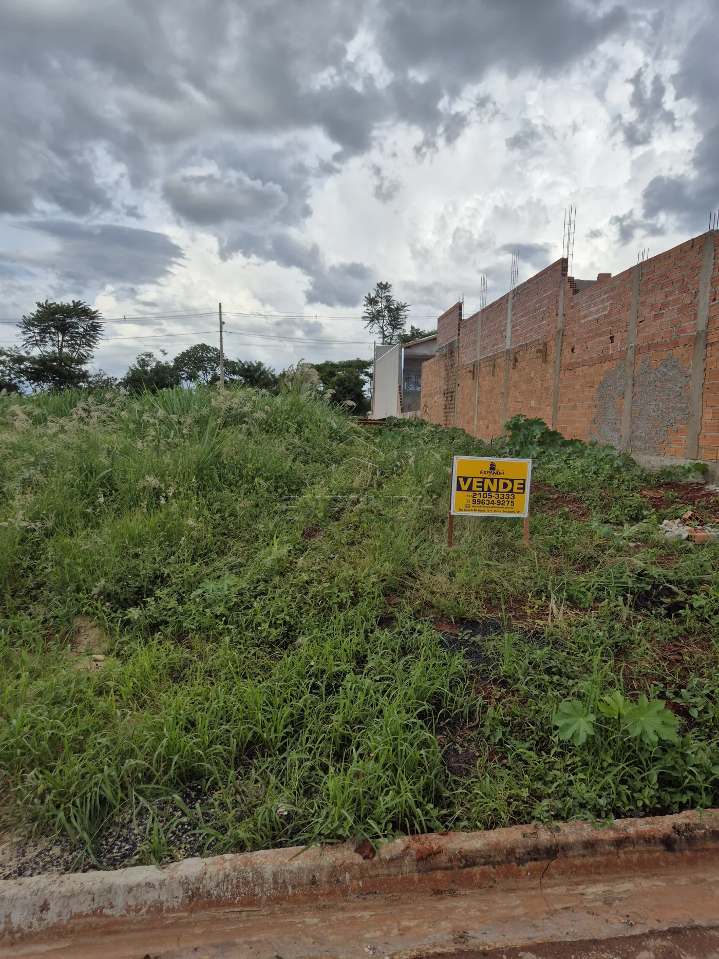 Comprar Terrenos / Padr&atilde;o em Sert&atilde;ozinho R$ 135.000,00 - Foto 4