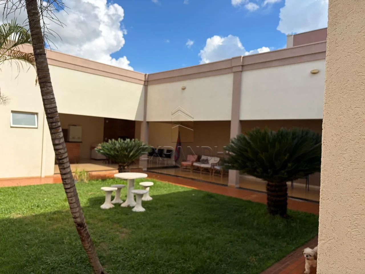 Comprar Casas / Padr&atilde;o em Sert&atilde;ozinho R$ 1.748.000,00 - Foto 35