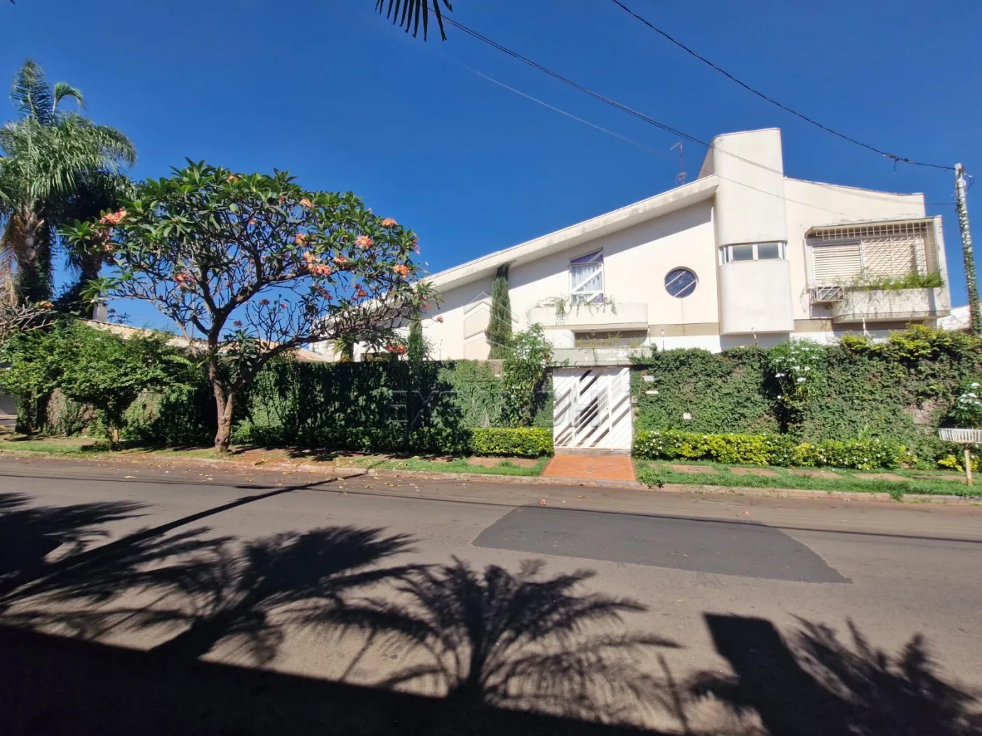 Comprar Casas / Padr&atilde;o em Sert&atilde;ozinho R$ 1.300.000,00 - Foto 1