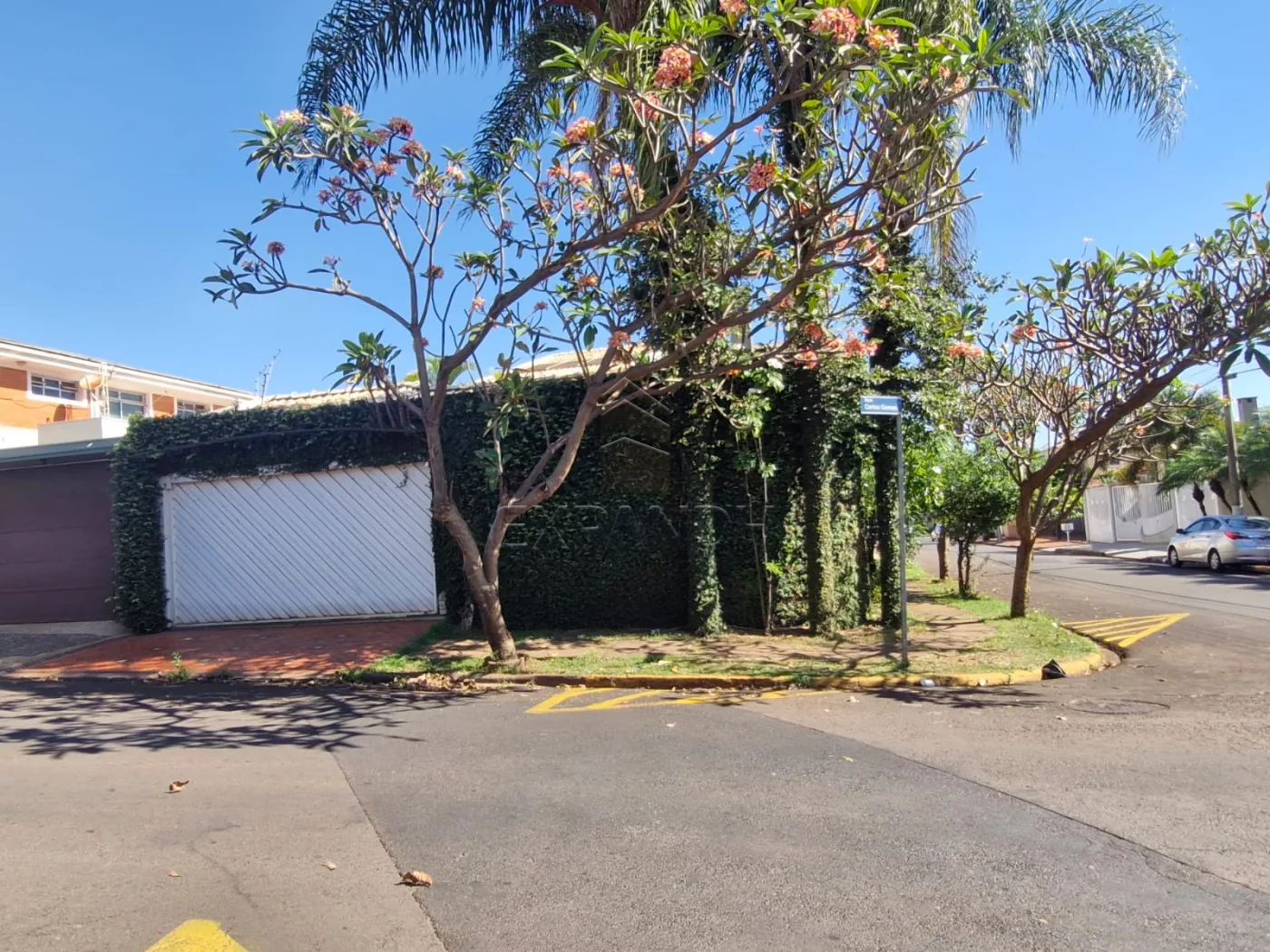 Comprar Casas / Padr&atilde;o em Sert&atilde;ozinho R$ 1.300.000,00 - Foto 2