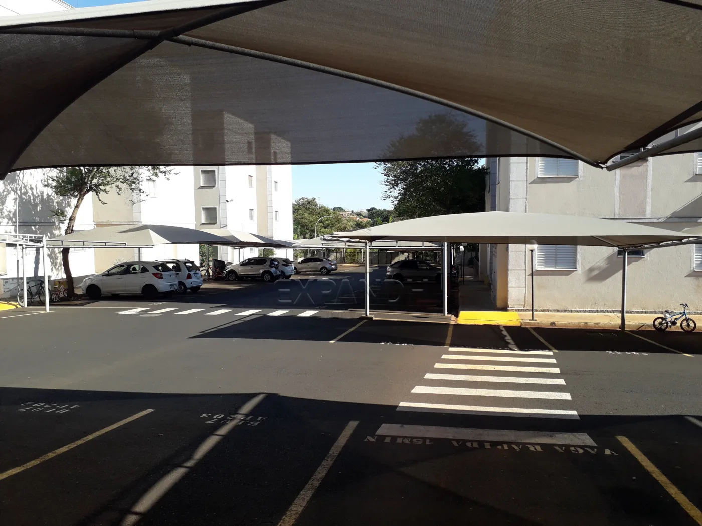 Comprar Apartamentos / Padr&atilde;o em Sert&atilde;ozinho R$ 172.000,00 - Foto 4