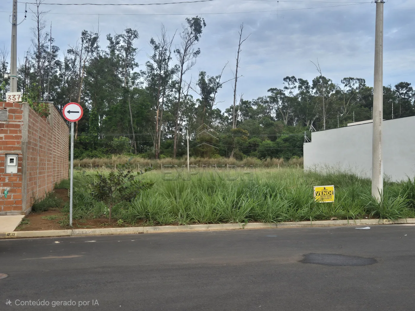 Comprar Terrenos / Padr&atilde;o em Sert&atilde;ozinho R$ 119.000,00 - Foto 2