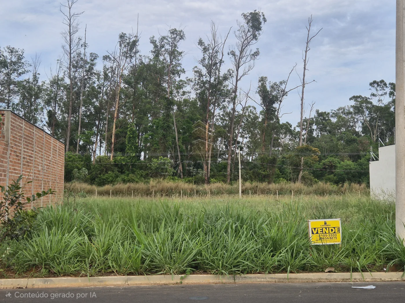 Comprar Terrenos / Padr&atilde;o em Sert&atilde;ozinho R$ 119.000,00 - Foto 3